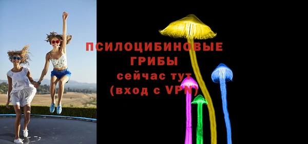 ГАЛЛЮЦИНОГЕННЫЕ ГРИБЫ Аркадак