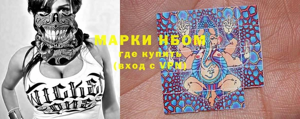 ГАЛЛЮЦИНОГЕННЫЕ ГРИБЫ Аркадак