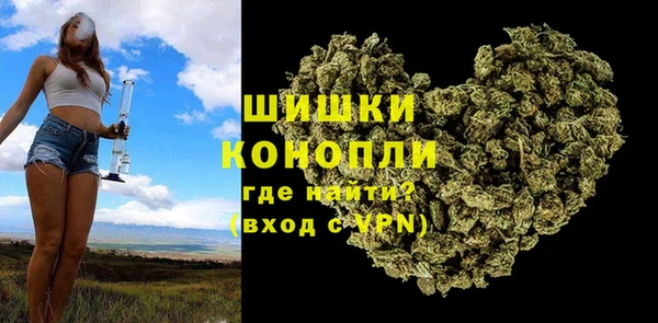ГАЛЛЮЦИНОГЕННЫЕ ГРИБЫ Аркадак